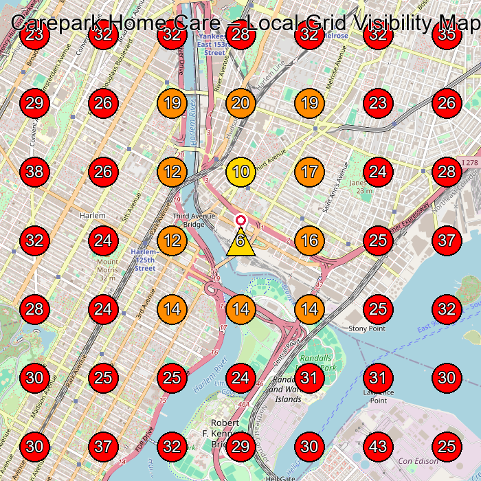 Carepark Home Care GeoGrid visibility map for Homeopath in New York
